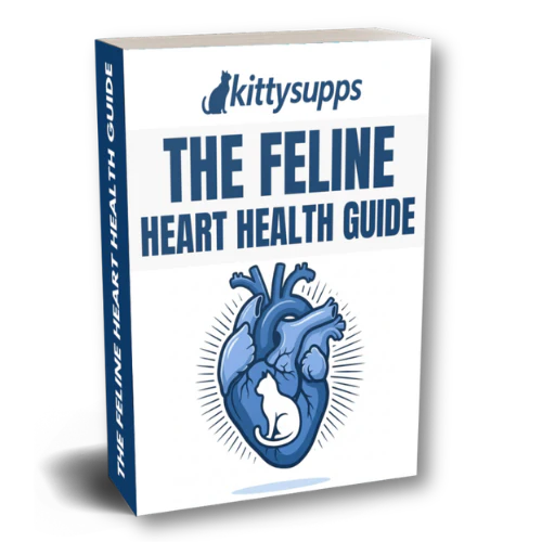 The Feline Heart Health Guide